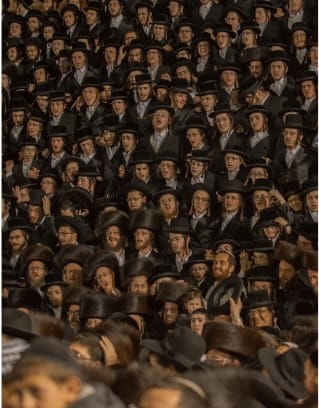 The Haredim